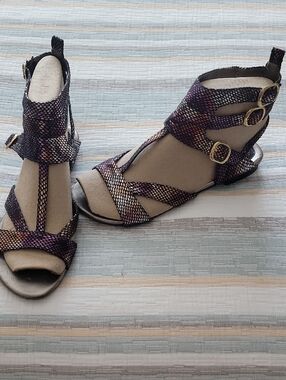 Women's Purple Multi-strap Buckle Sandals
